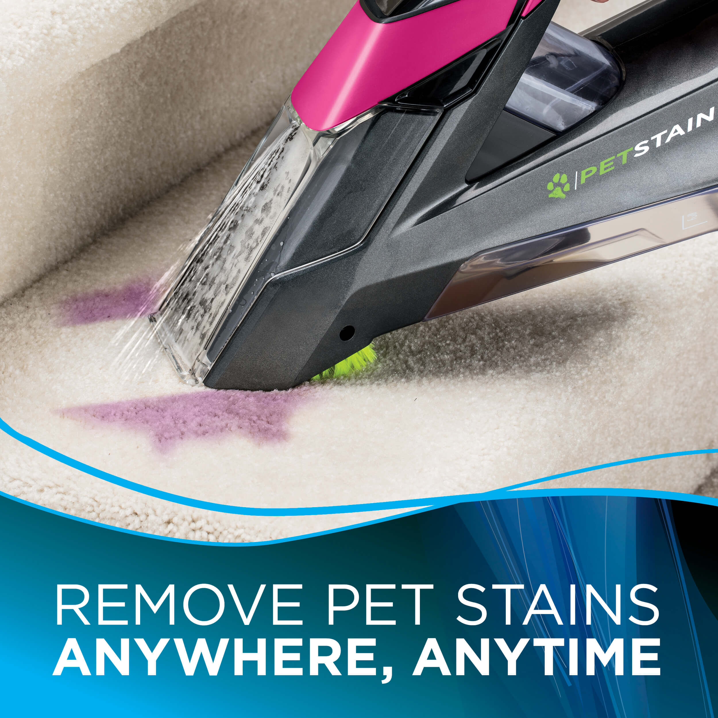 BISSELL Pet Stain Eraser 2002 