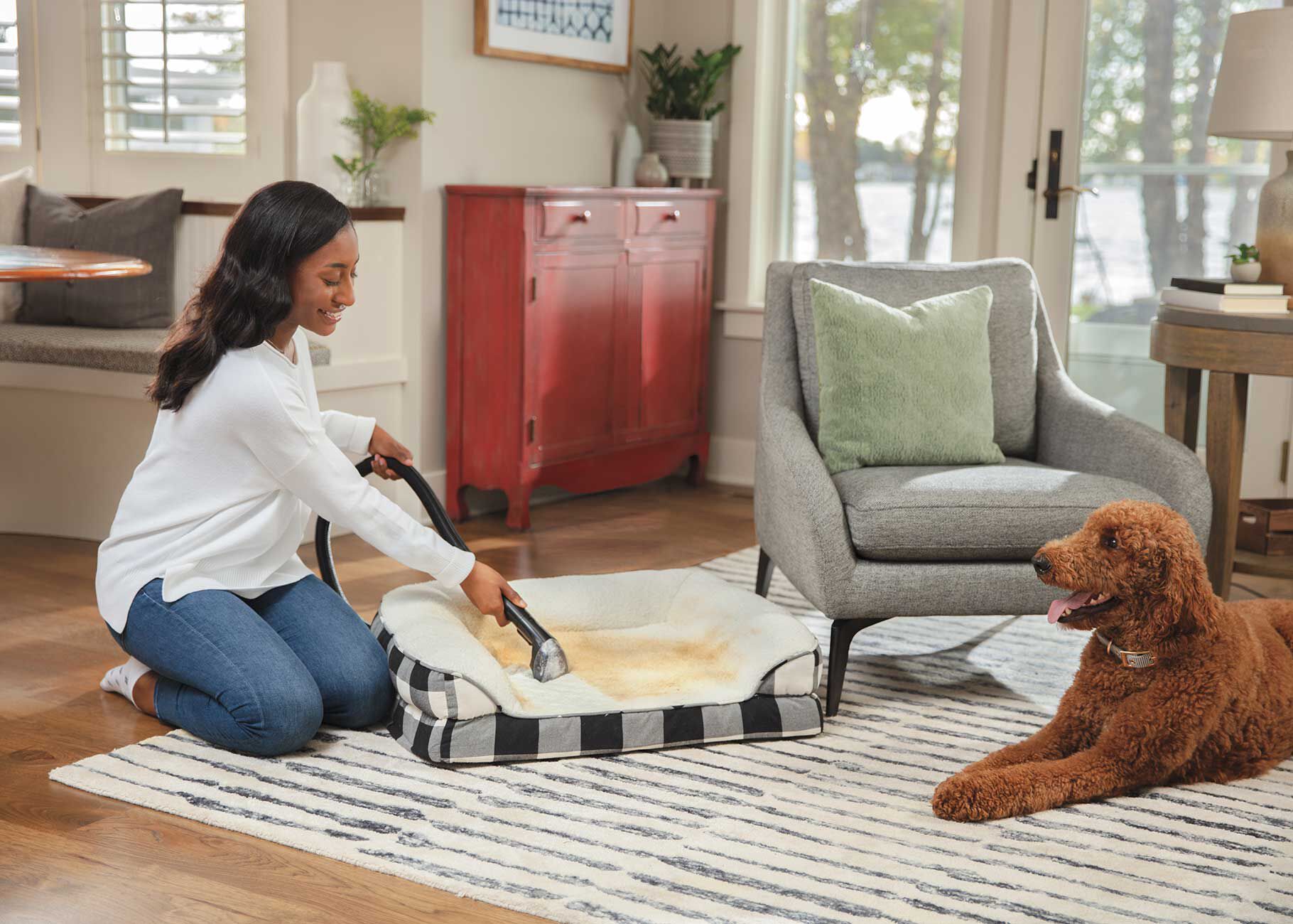 Pet a Portre (ペット ア ポルテ) Nercisse PowerForce™ Pet Turbo XL 3896 | BISSELL Upright Carpet Cleaner