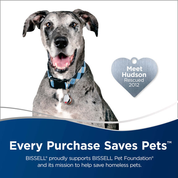 BARKBATH™ Dual Use Portable Dog Bath & Cleaner 2592 BISSELL