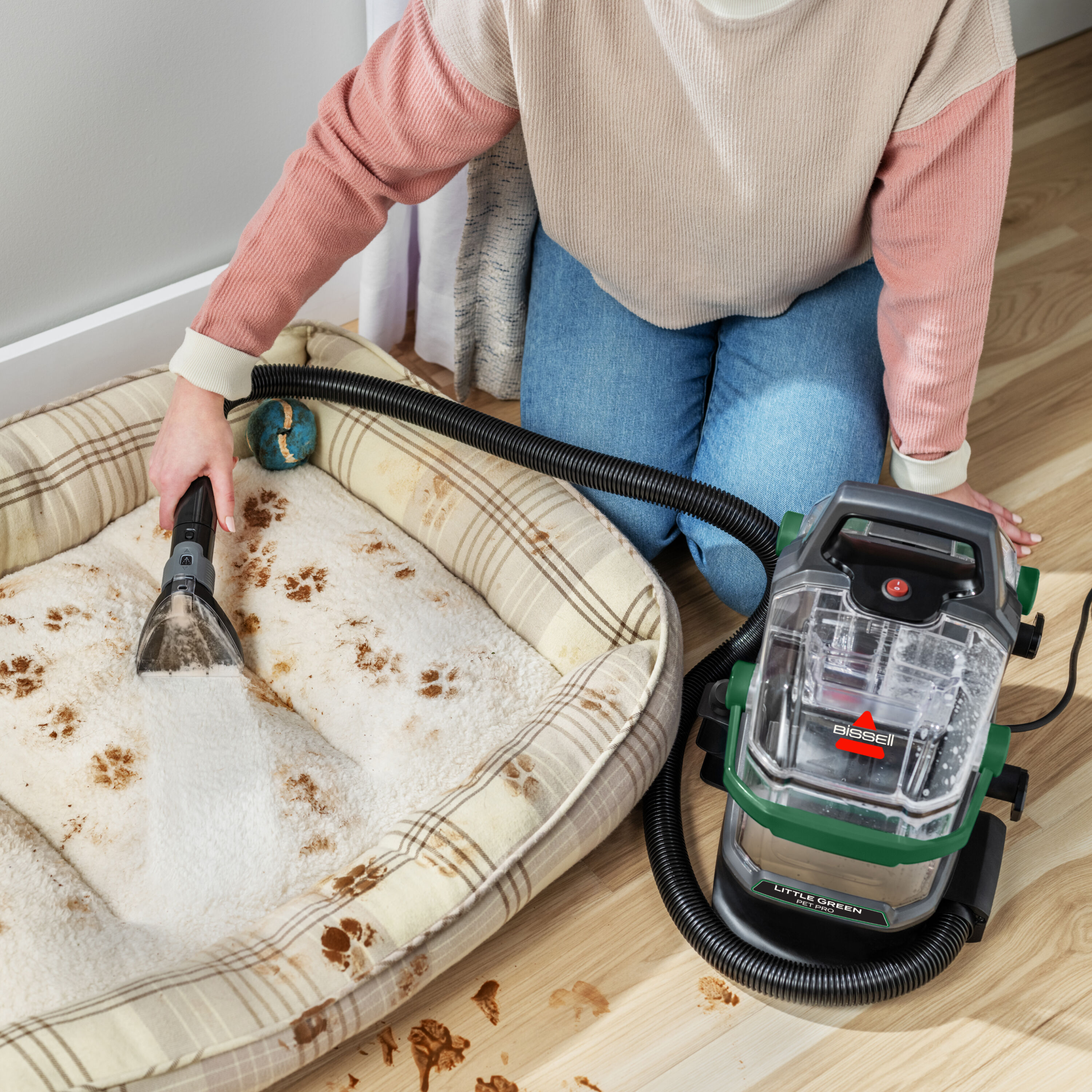 Little Green® Pro Portable Deep Cleaner