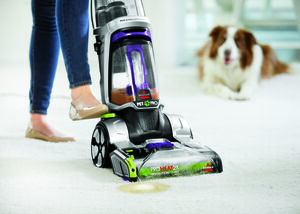 Pet Stain Odor Upright Carpet Cleaning Formula (60