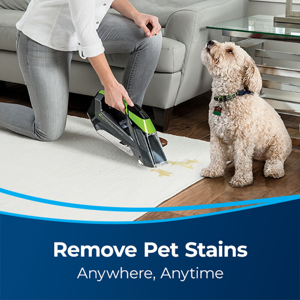 BISSELL Little Green™ Cordless 2003 Portable Carpet Cleaners