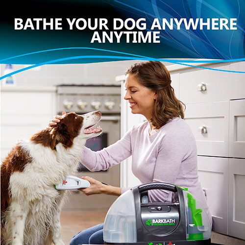 dog cleaner machine