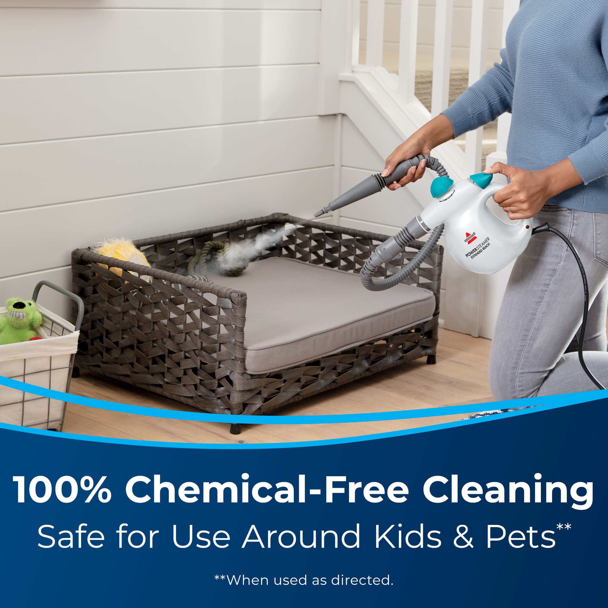 power steamer extended reach