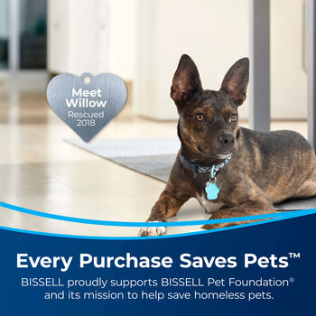 Little Green® Pet 1400W | BISSELL Portable Carpet Cleaner