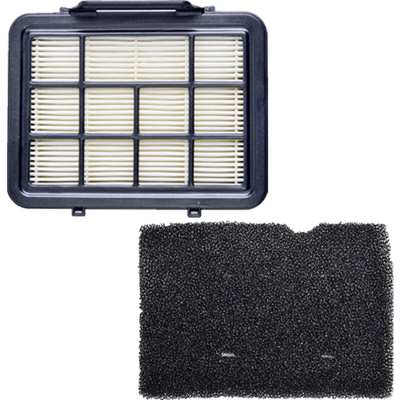 Canister Pleated & Mesh Filters 1618560 BISSELL Parts
