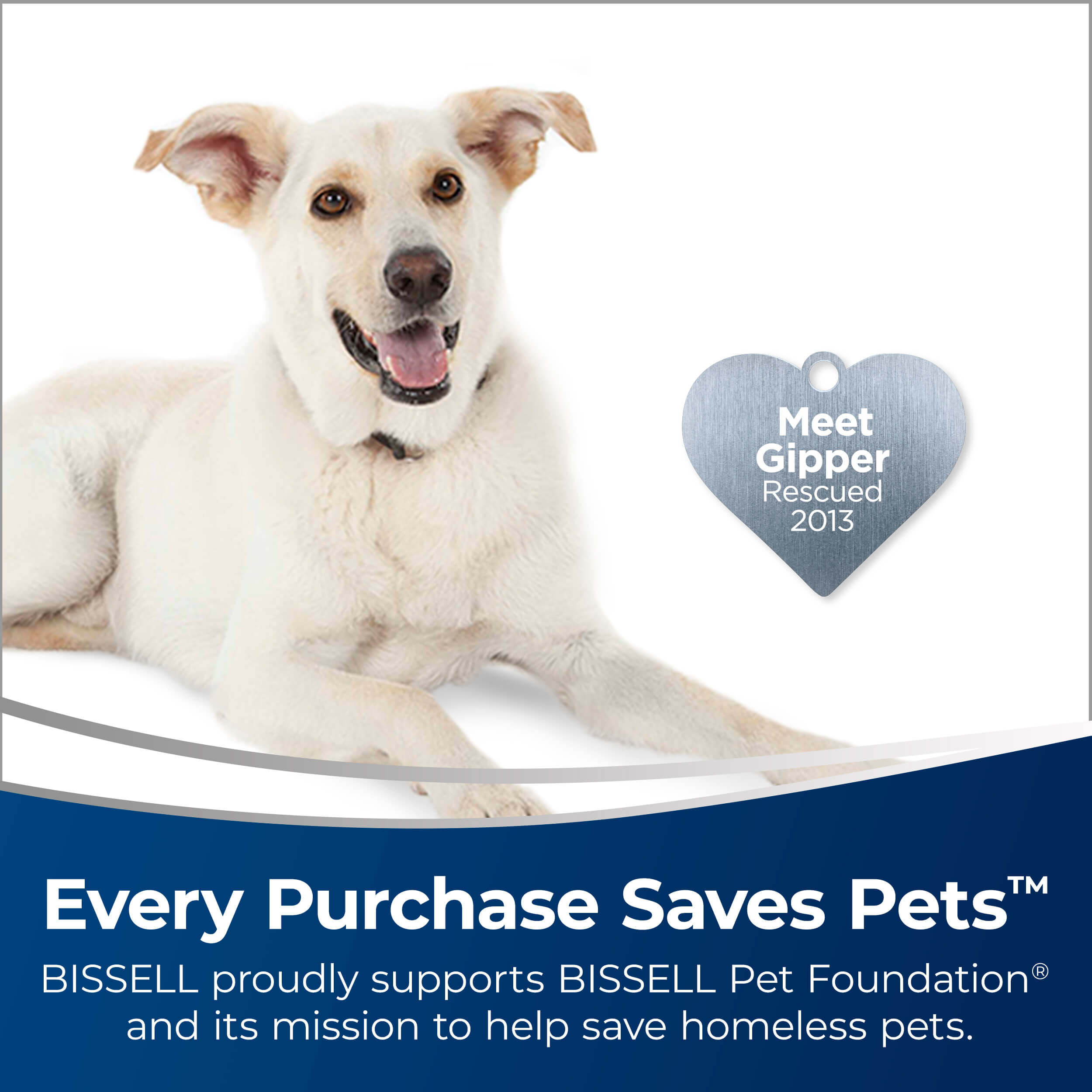 Bissell a320 Outlet