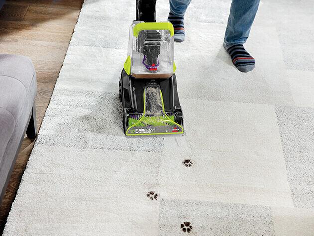 PowerBrush Lightweight Carpet Cleaner 2987