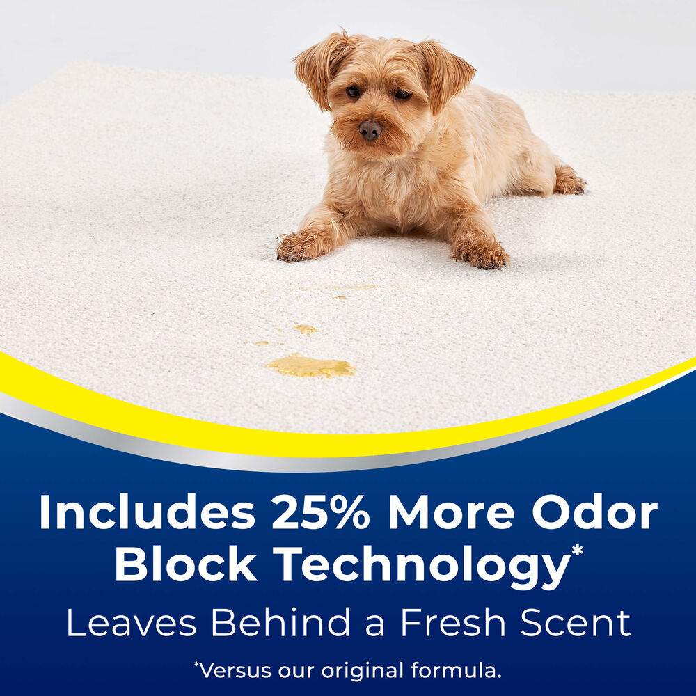 Advantage Pet Urine Eliminator Enzyme Action 3319 Woolite