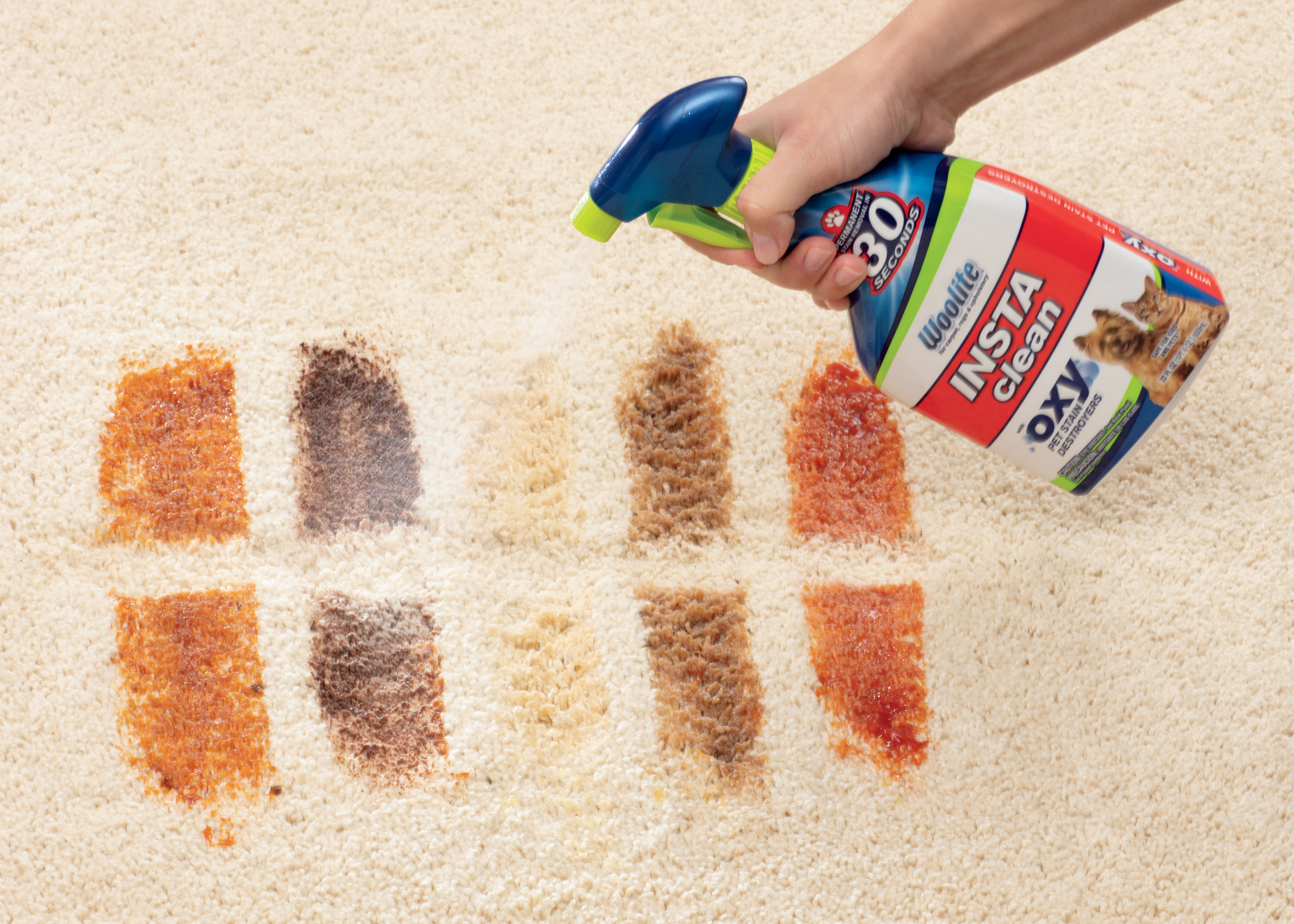 Woolite® INSTAclean® Pet Stain Remover (2-Pk) & 1 Stomp 'n Go® Pet