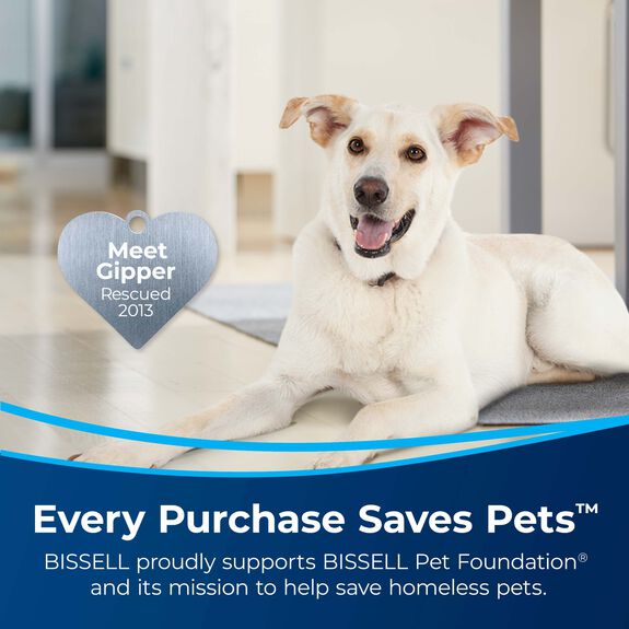 2 Pack) Bissell Professional Power Shot Oxy Carpet Spot, 14