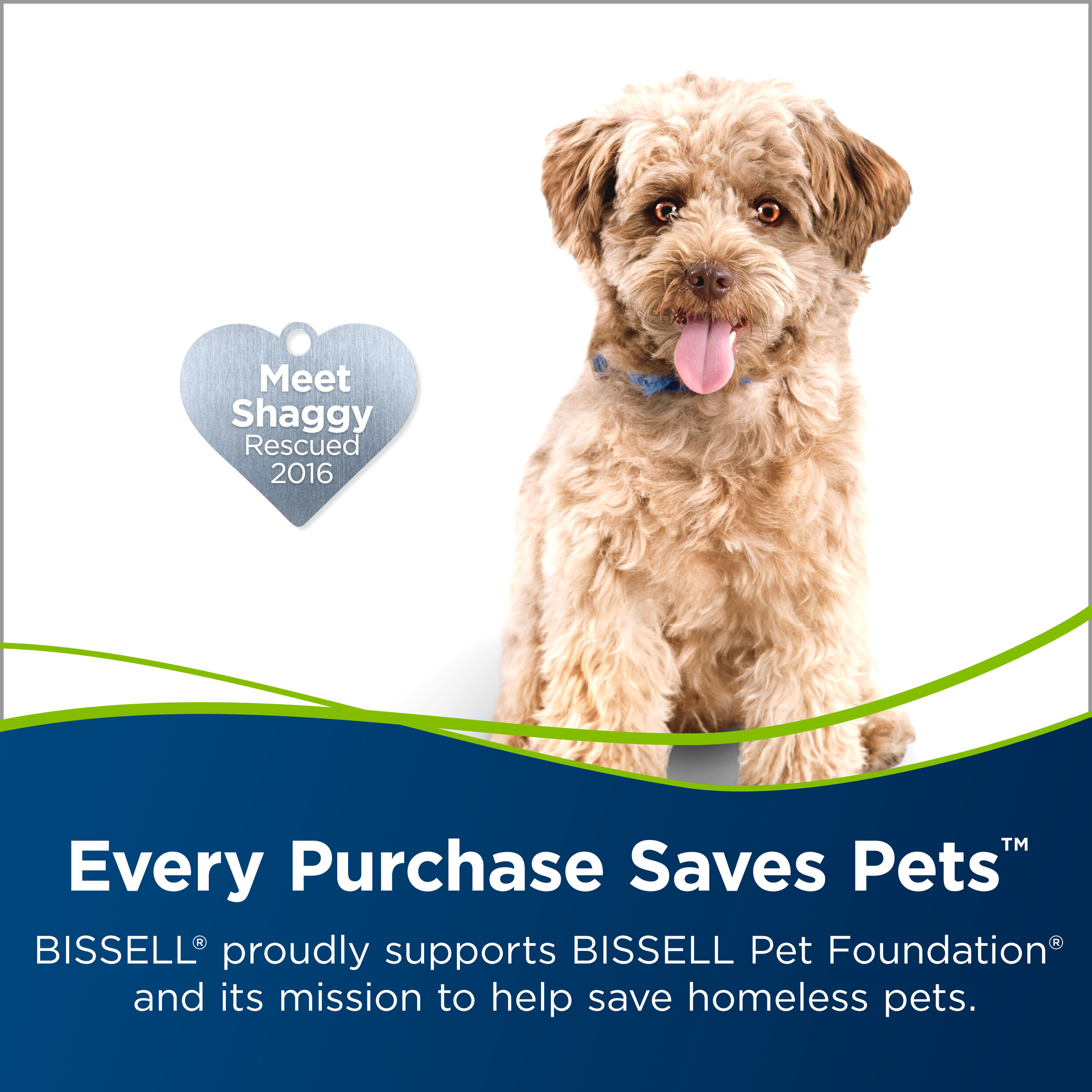 TurboClean PowerBrush Pet Carpet 