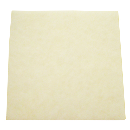 Pre-Motor Filter for OptiClean Canister Vacuum | 2037994