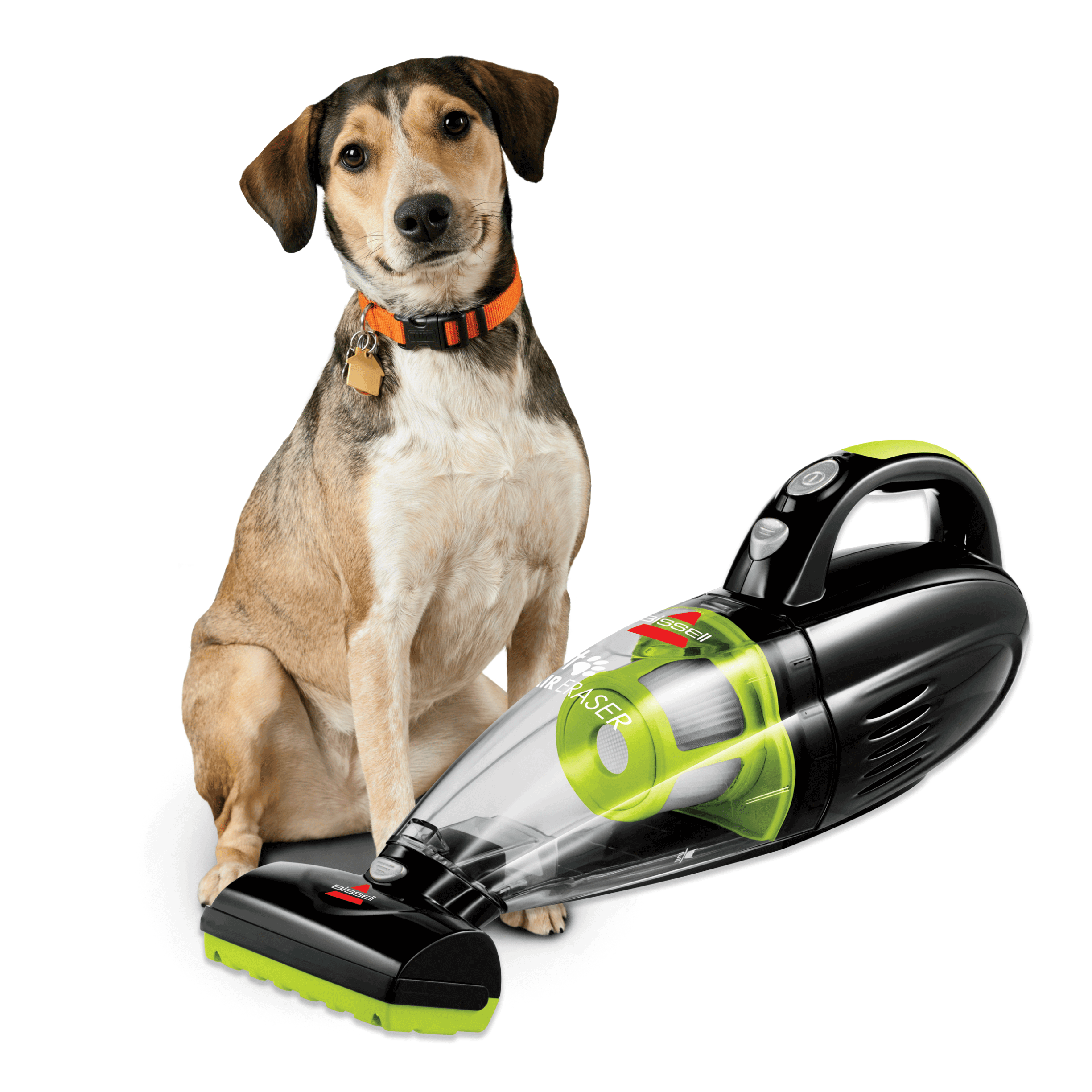 Best Handheld Vacuum For Pet Hair 2024 Genia Jordain