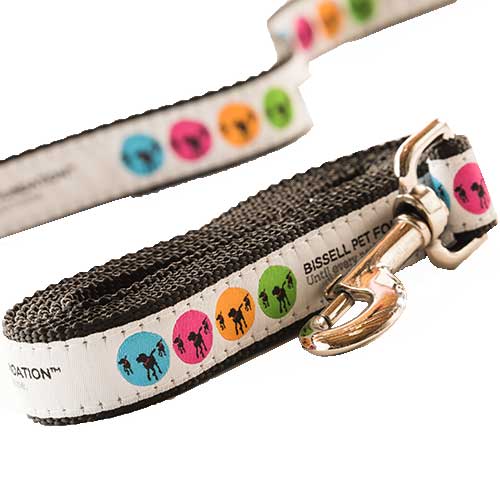 Paw it Forward Collection - Logo Leash | 19524
