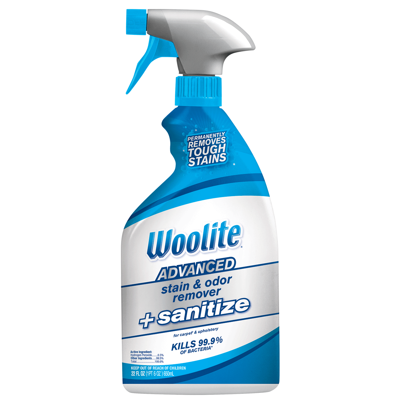 Woolite Advanced Stain & Odor Remover + Sanitize, Size 22 fl oz | 1282