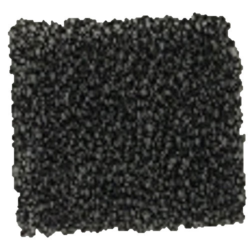 Pre-Motor Foam Filter for Select Canister Vacuums | 1613054