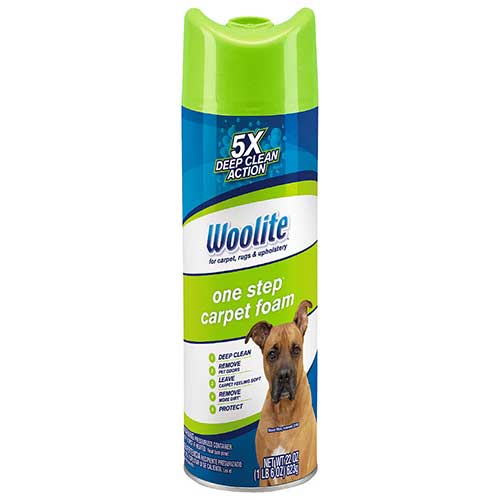 Woolite One Step Foam Carpet Cleaner, Size 22 oz | 08213