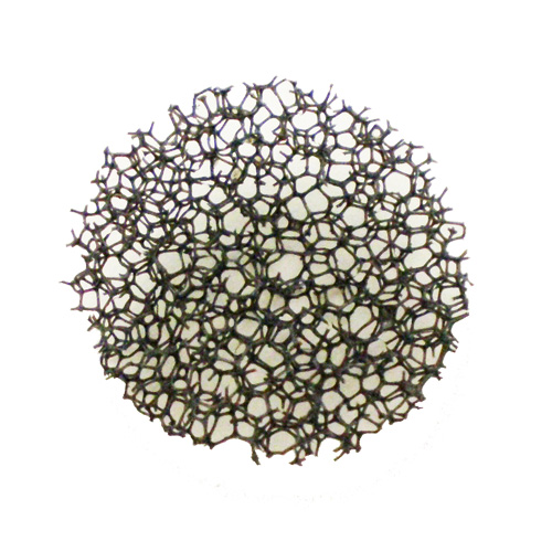 Pre-Motor Filter for Powerforce Compact and Easy Vacuum | 2037597