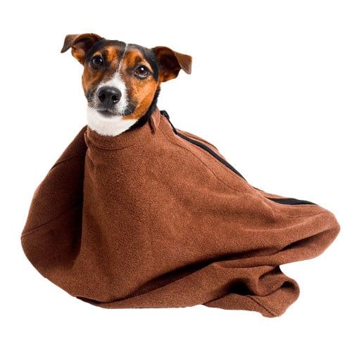 1609190_XSmall_Doggy_Bag_Pet_H