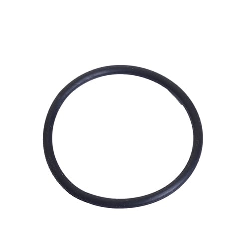 Clean Tank O-Ring for ProHeat 2X Revolution | 1606411
