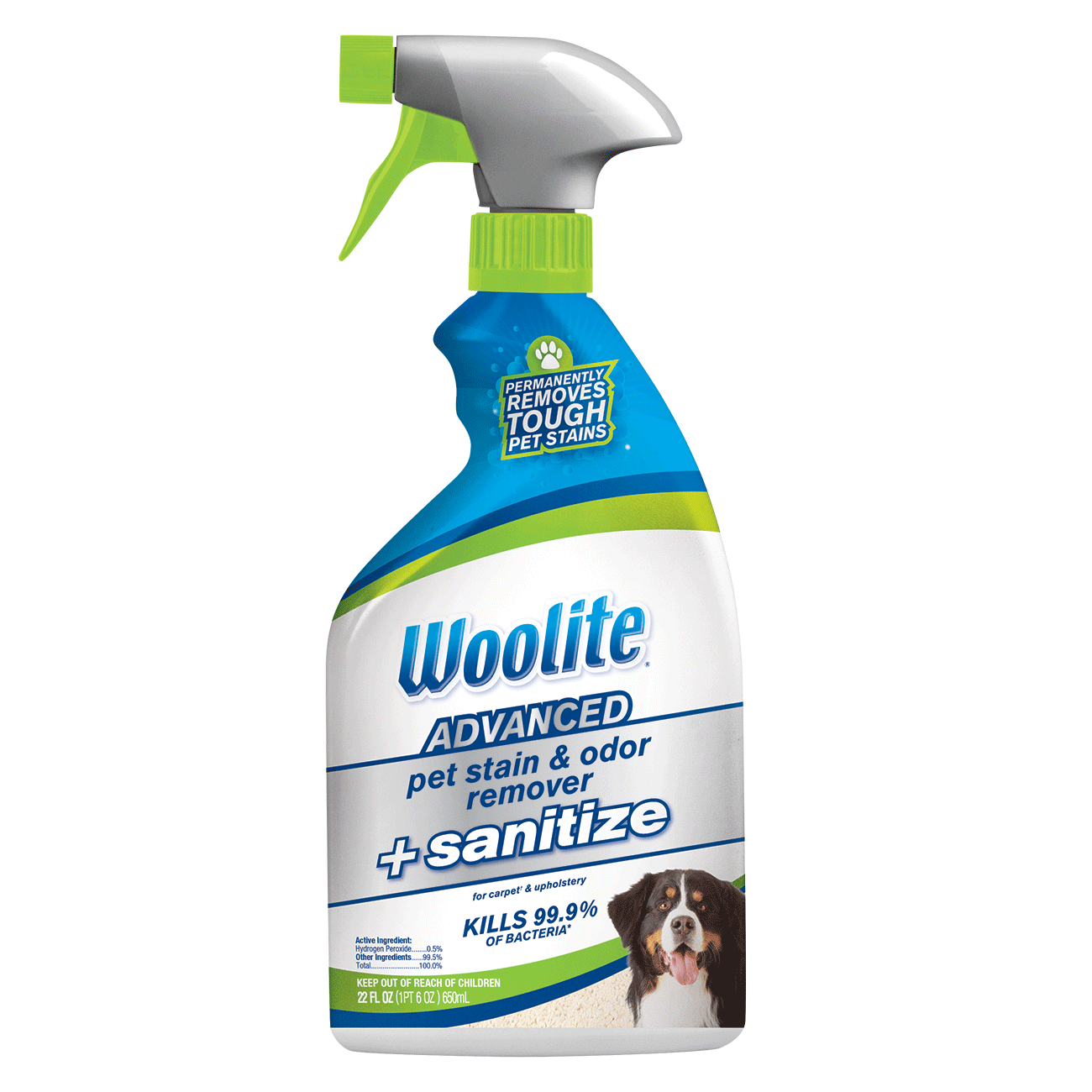 Woolite Advanced Pet Stain & Odor Remover + Sanitize, Size 22 fl oz | 11521