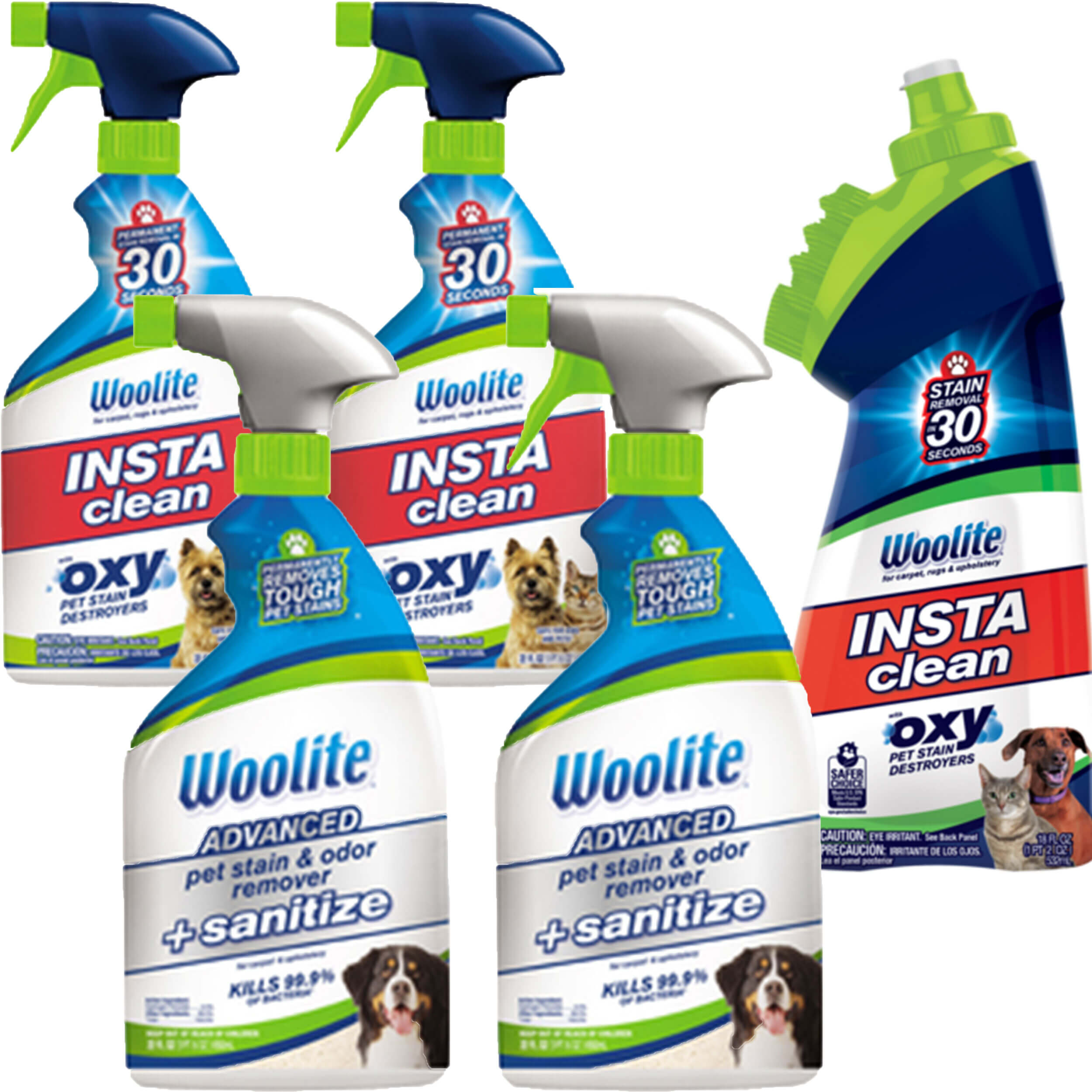 Woolite® Pretreat Sanitize Bundle B0151