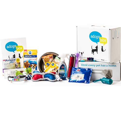 AdoptBox Medium Dog | 1952M