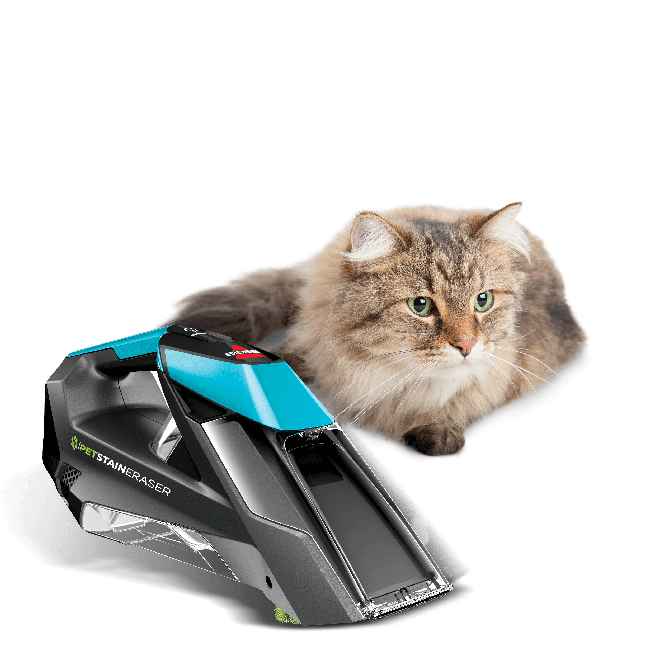 Pet Stain Eraser™ 2164A | BISSELL 