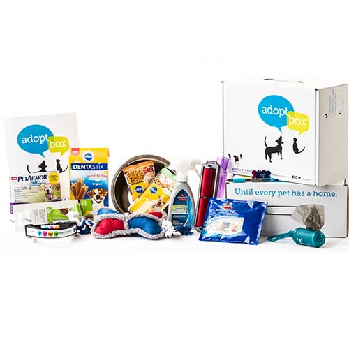 AdoptBox Small Dog | 1952