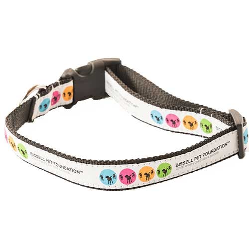 Paw it Forward Collection - Medium/Large Dog Collar | 19527