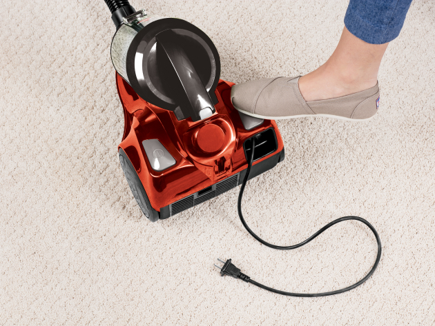 Zing® II Bagless Canister Vacuum 21561 | BISSELL®